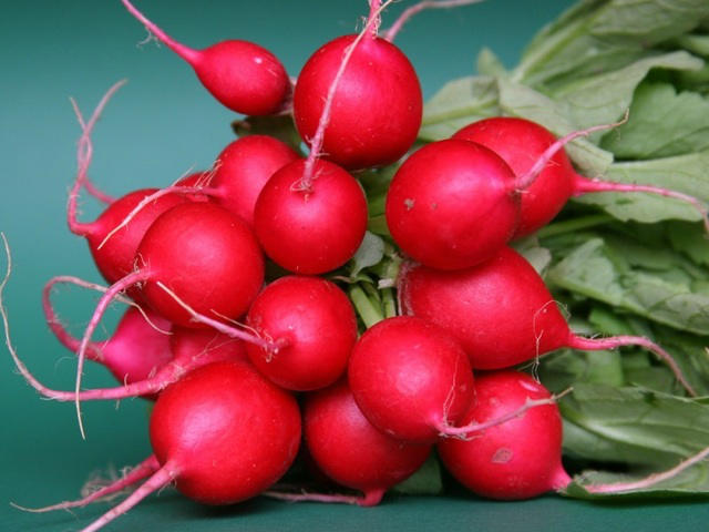 Radish 'Cherry Bell'