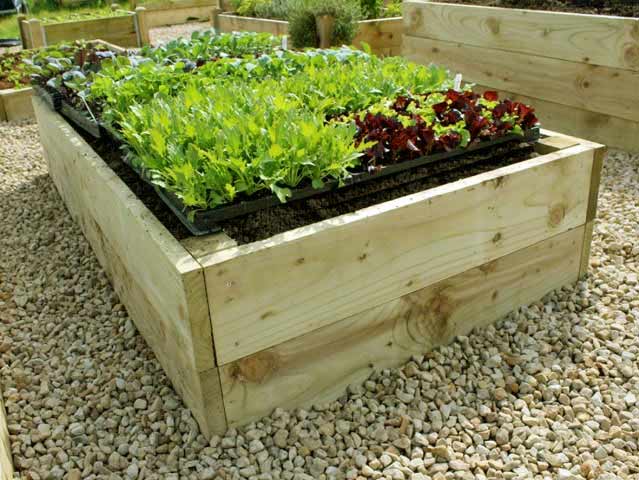 Premier 35cm FSC Timber Raised Garden Beds
