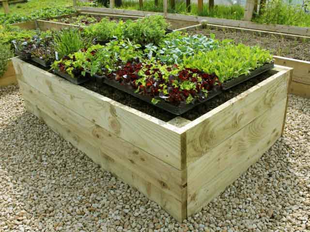 Premier 53cm FSC Timber Raised Garden Beds