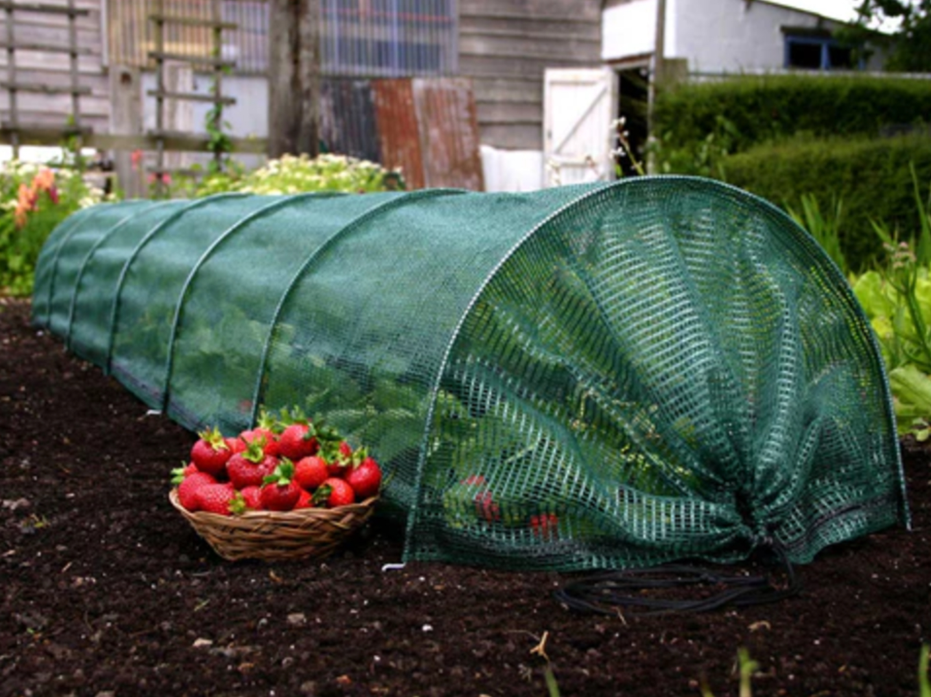 Giant Easy Net Tunnel