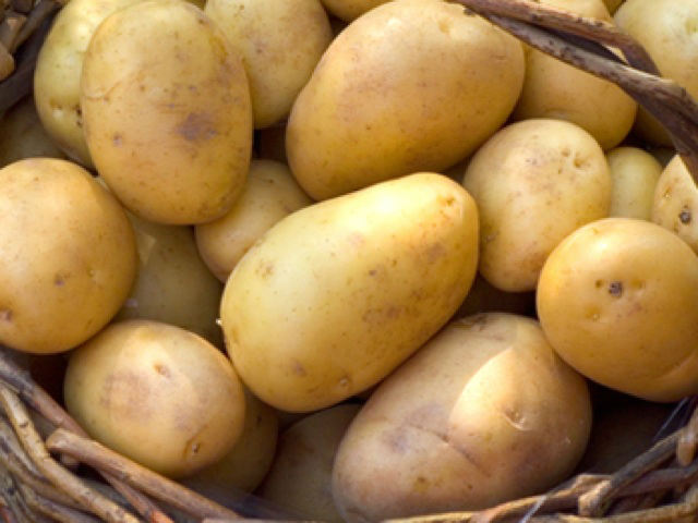 Duke of York Potatoes