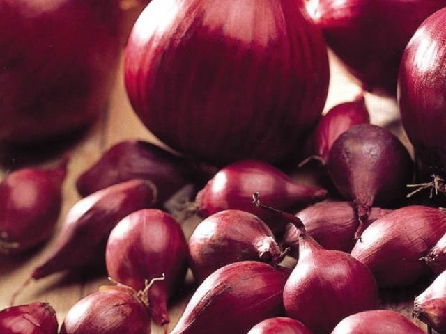 Red baron are a red onion great in salads