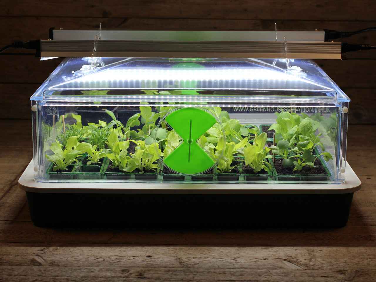 Small Vitopod Electric Propagator Single or Double Height