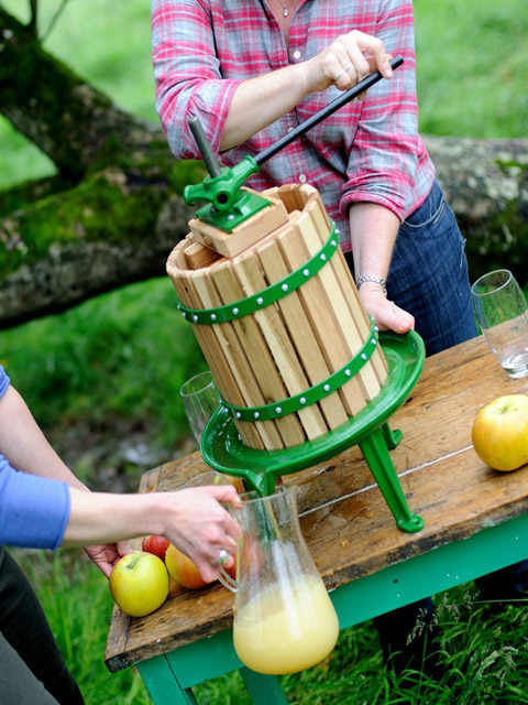 healthy home pressed juice