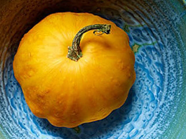 Squash 'Sunburst'