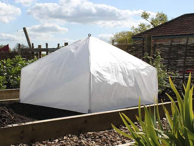 cloche plant protection