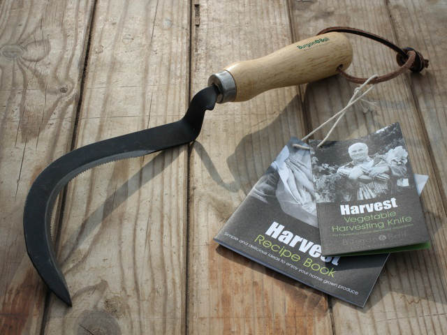 quality vegetable harvesting knife from burgon and ball