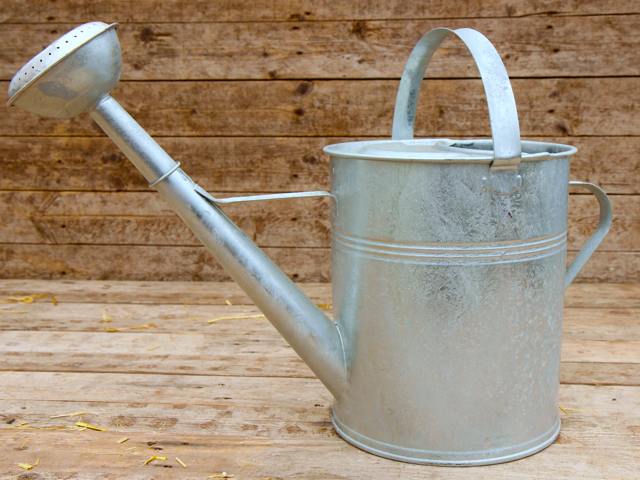 Galvanised Watering Can