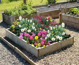 Raised Flower Beds Image