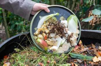 Composting Image