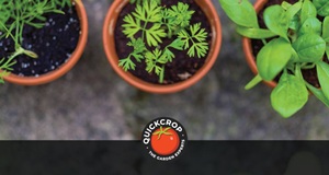 What is the Best Compost For Container Growing?