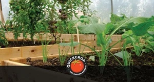 What are the Benefits of Polytunnel Growing?
