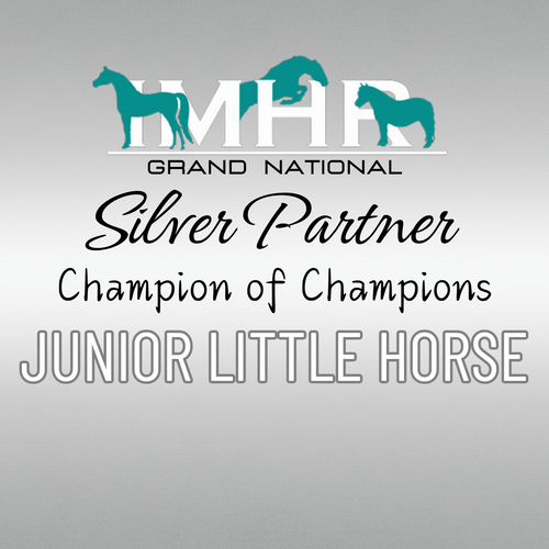 2026 IMHR Grand National Champion of Champions - Junior Little Horse