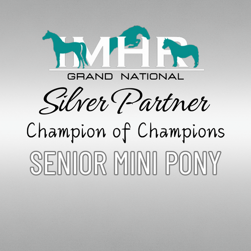 2026 IMHR Grand National Champion of Champions - Senior Miniature Pony