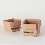 Carton Box Planter, Set of 2