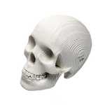Vince Cardboard Human Skull