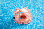 Baby Flamingo Pool Float