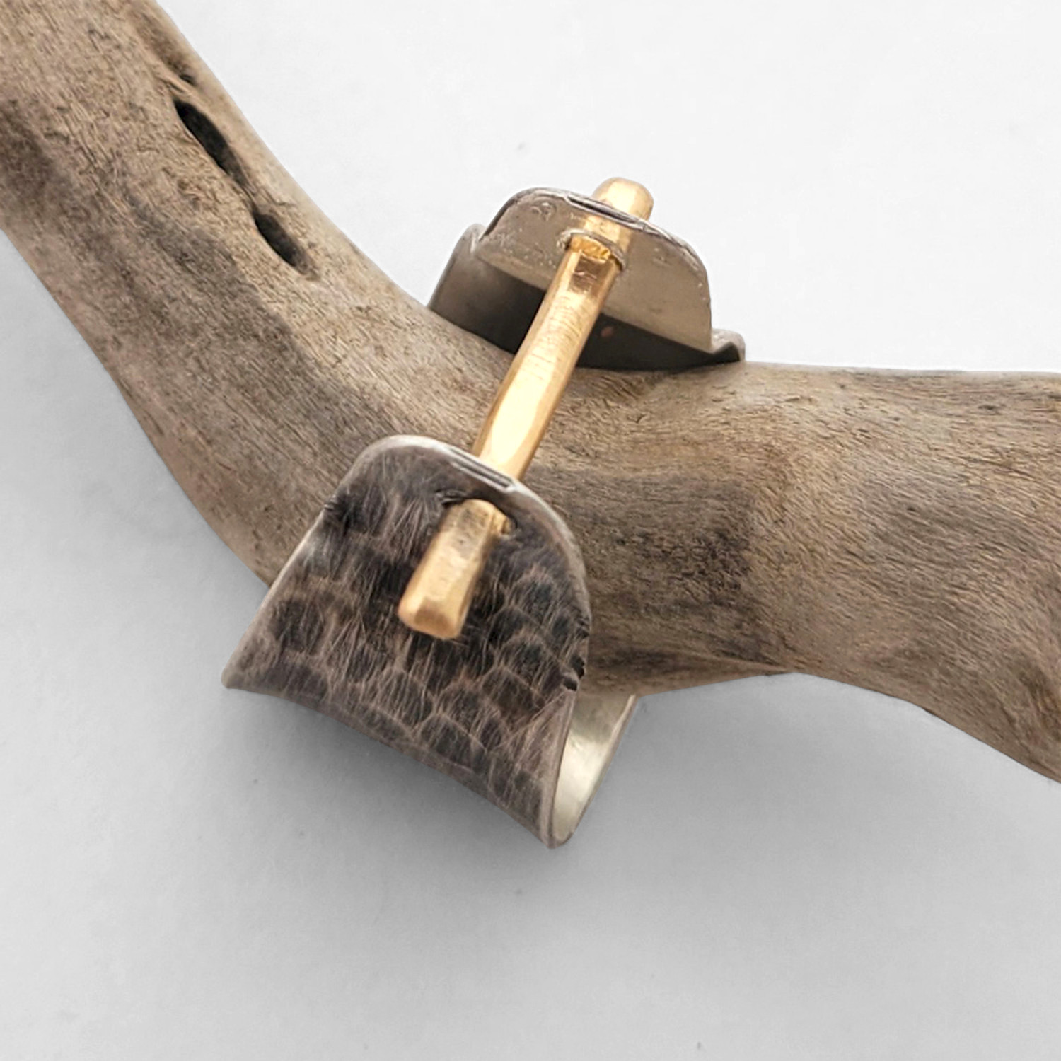 Shadows and Light Ring