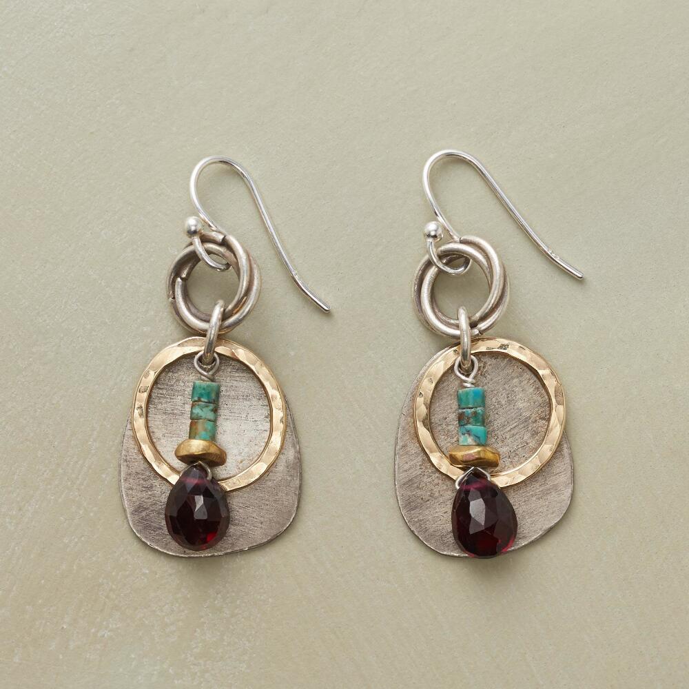 Circles and Stones Earrings