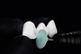 Panther Green Disc shaping unsintered zirconia restoration Panther Green Disc shaping unsintered zirconia restoration