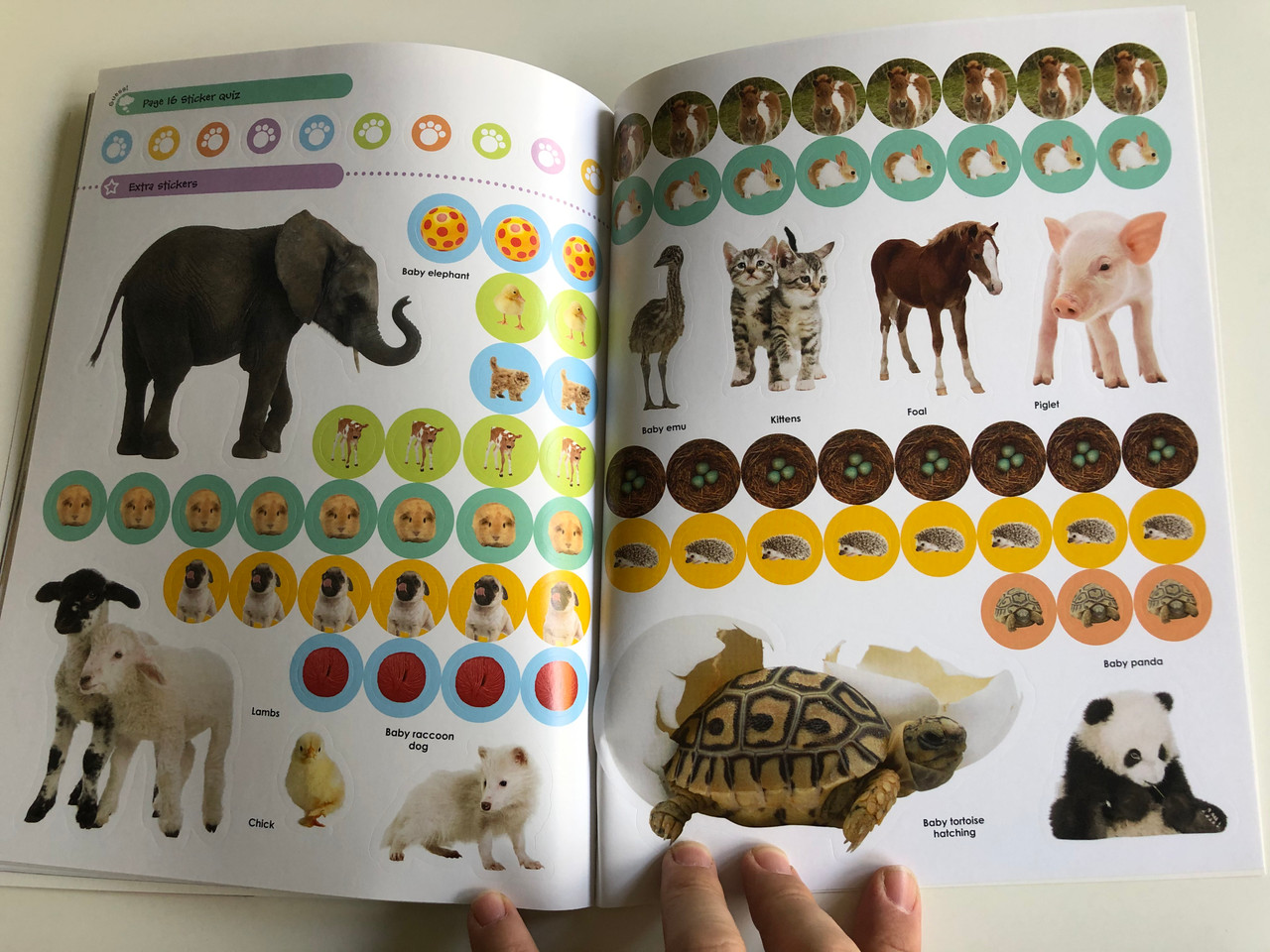 Eyelike Reusable Sticker Book (Multiple Themes)