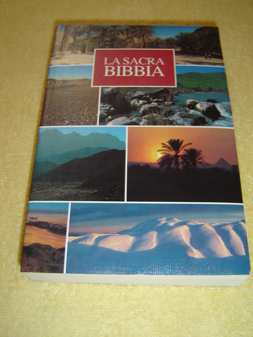 La Sacra Bibbia / Bible in Italian Language / La nuova Diodati / Holy Land  Landscape design - Bible in My Language