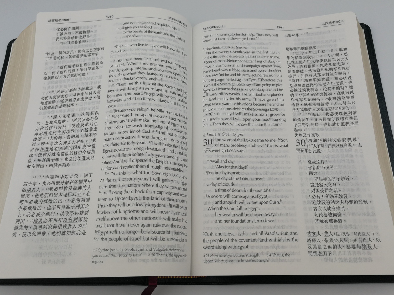 英語洋書 Michael Vey、Cherub 合計9冊 Amazon.com: TBM the Complete Disc Guide three blind mice