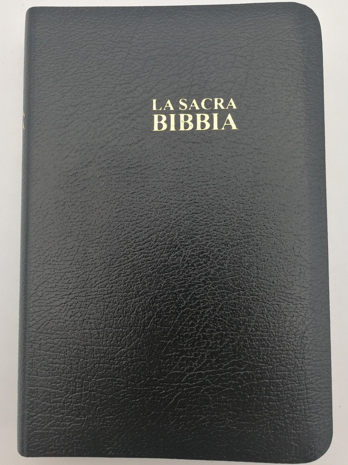 Italian Holy Bible 1991 Revised Version