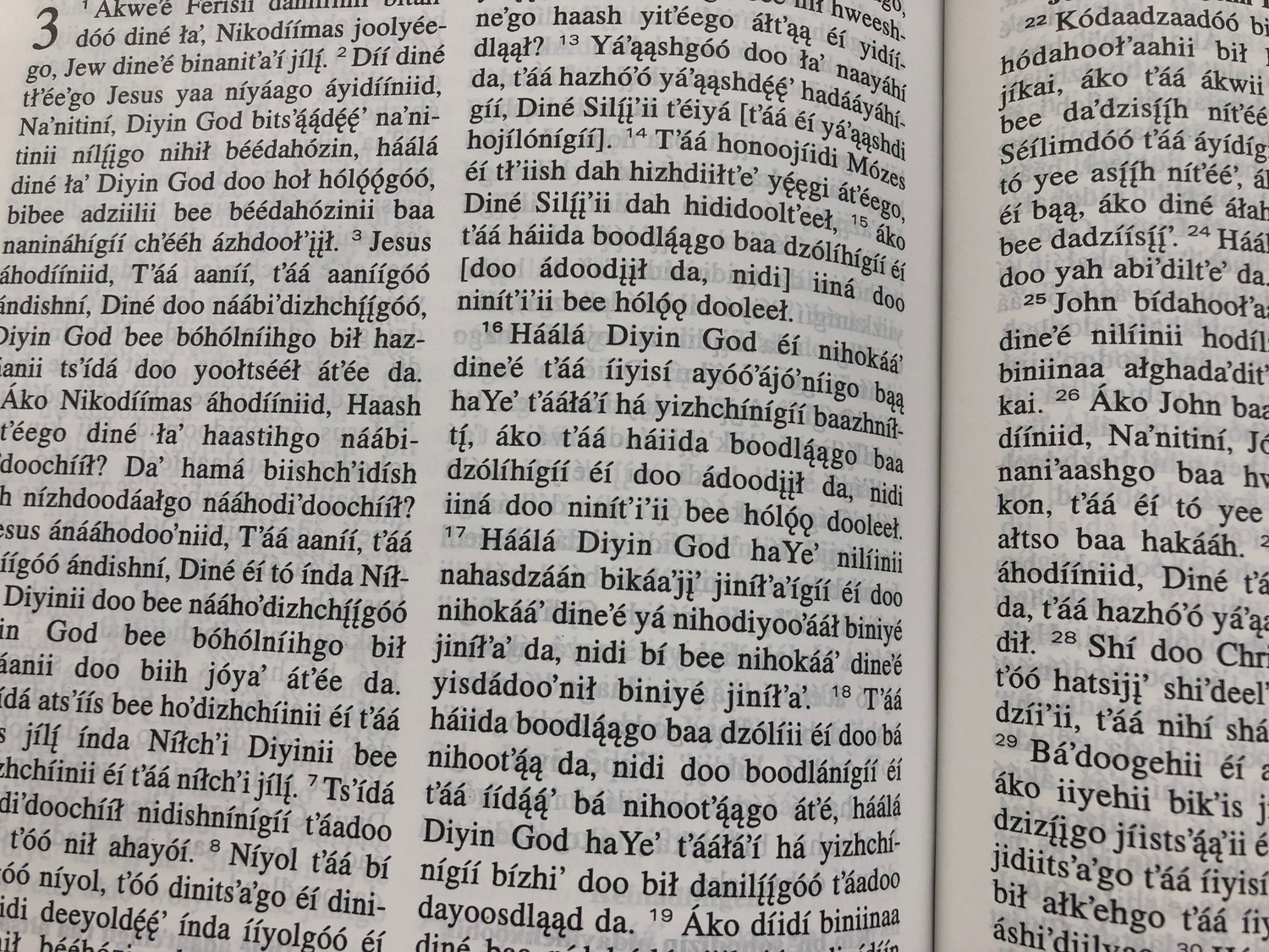 ナバホの創世記 God Bizaad Genesis Exodus Navajo Diyin God Bizaad - Navajo Revised Holy Bible / American