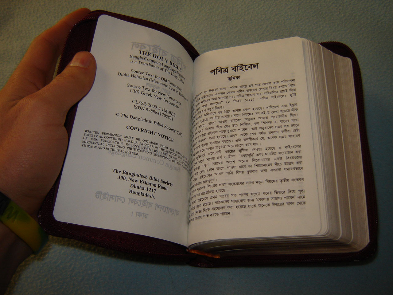 Bangla Common Language Version Bible