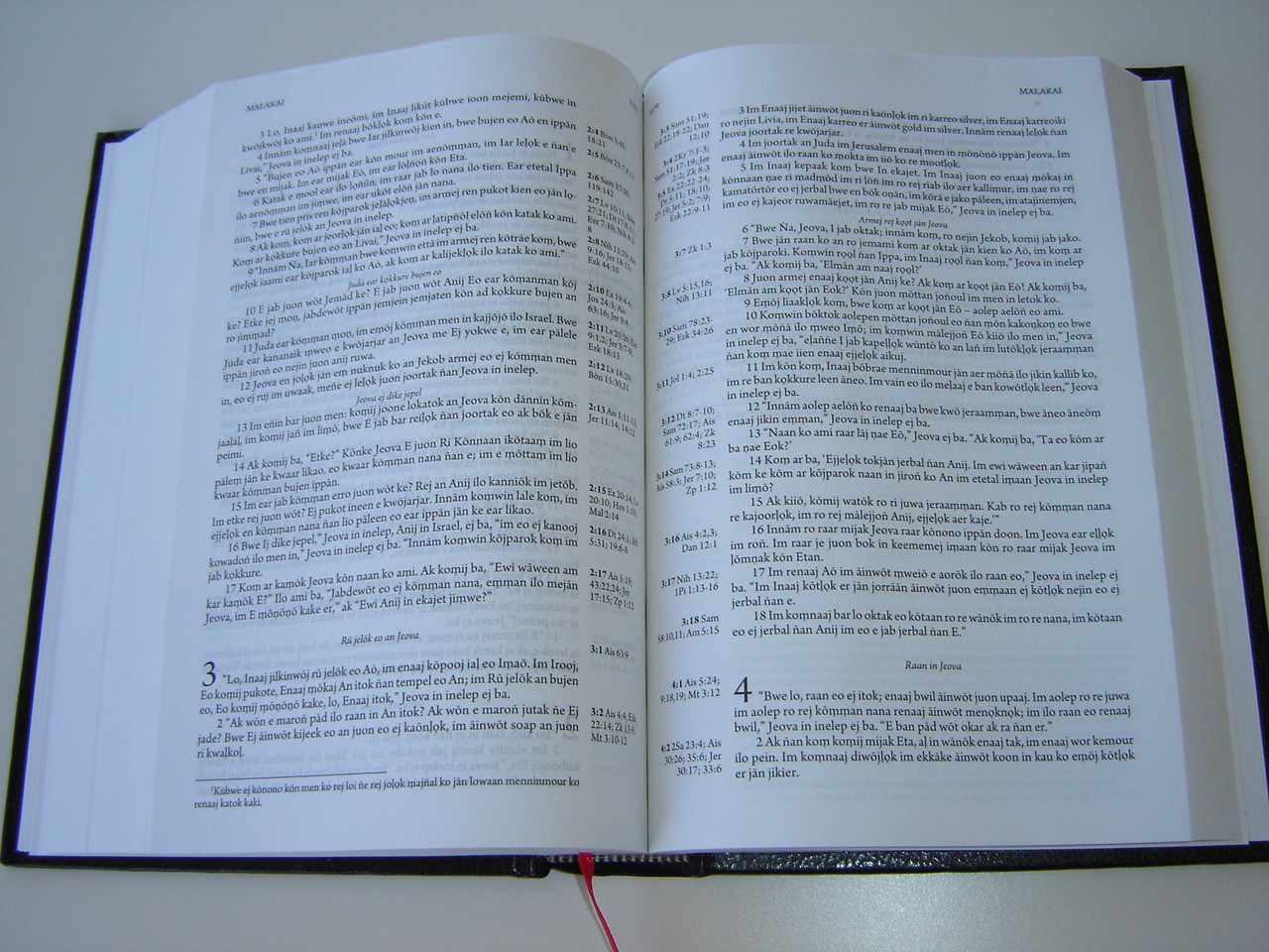 Marshallese Bible with Footnotes / JEJE KO REKWOJARJAR / Words