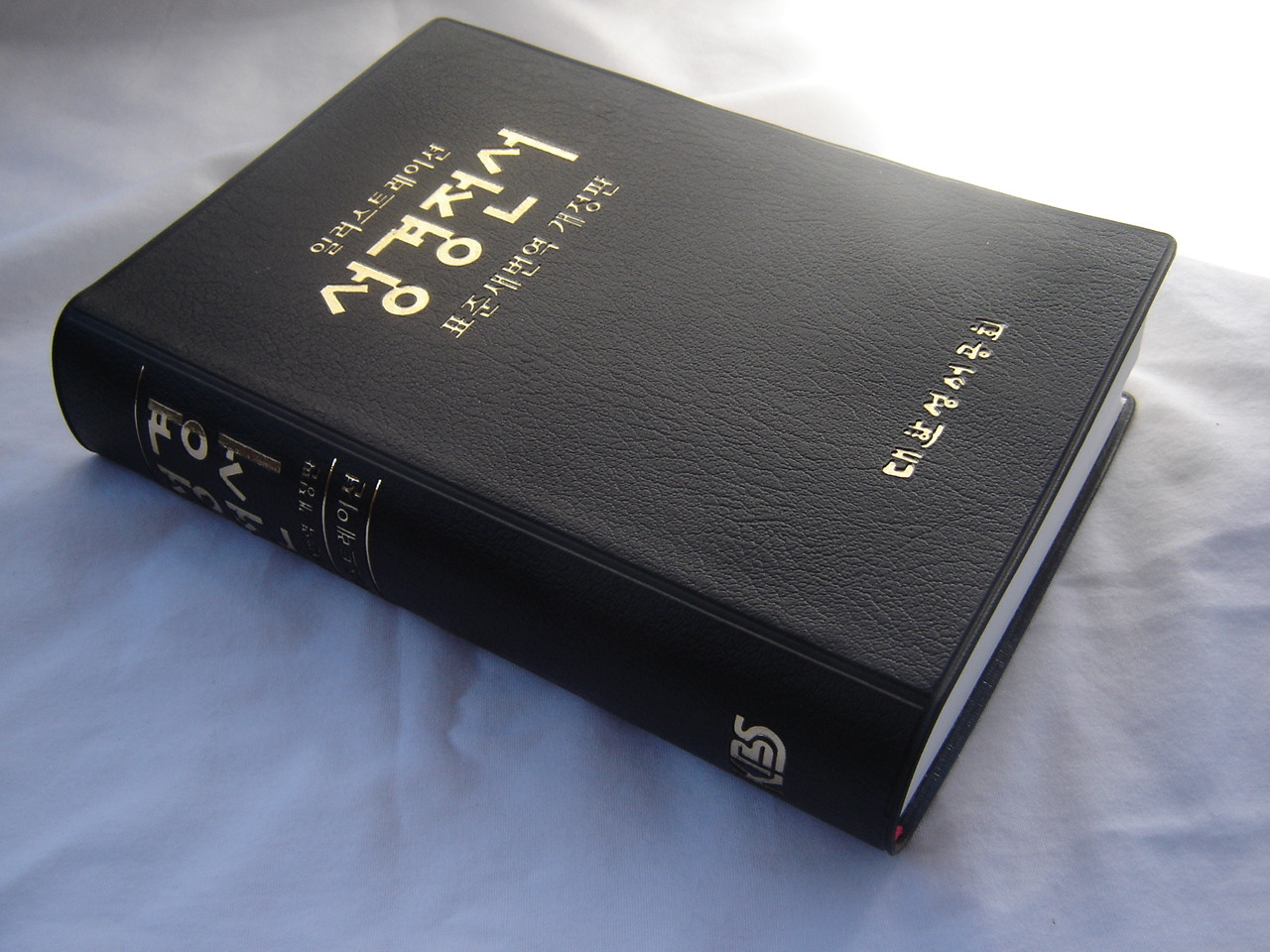 Korean Holy Bible RNKSV with Illustrations