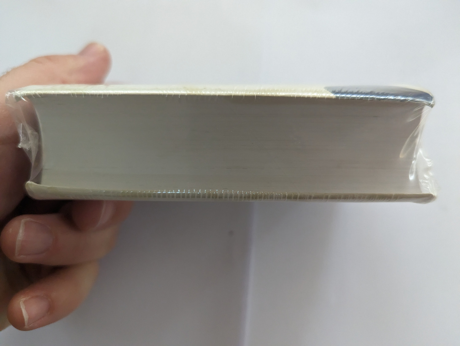 Japanese Pocket Bible – New Interconfessional Translation