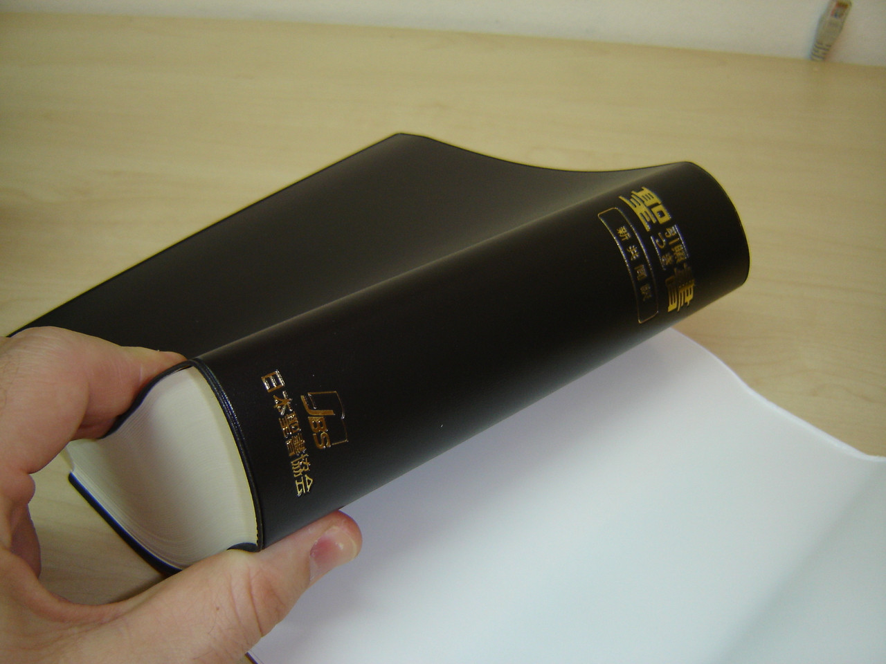 Japanese Bible with Column References NIO44