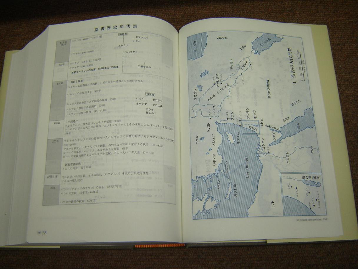 Japanese New Testament Study Bible