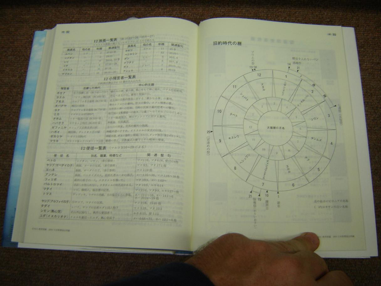 Japanese New Testament Study Bible