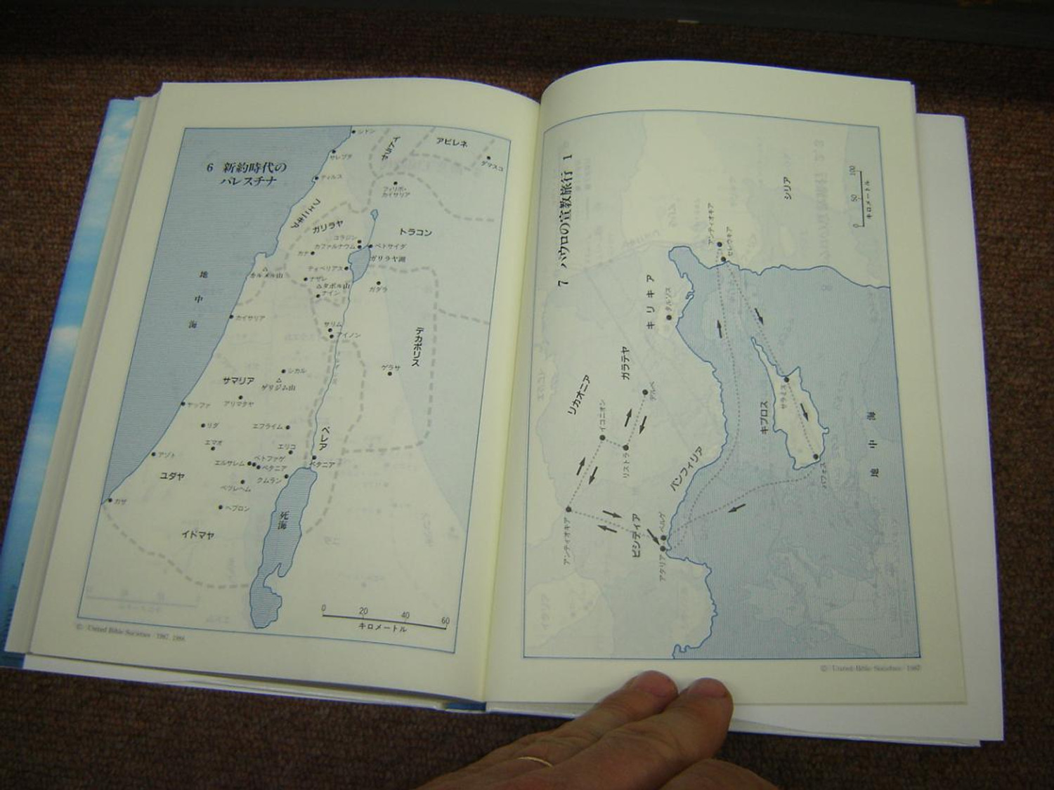 THE STUDY BIBLE 新共同訳 改訂版 71l2jzi6P8L._AC_UL210_SR210,