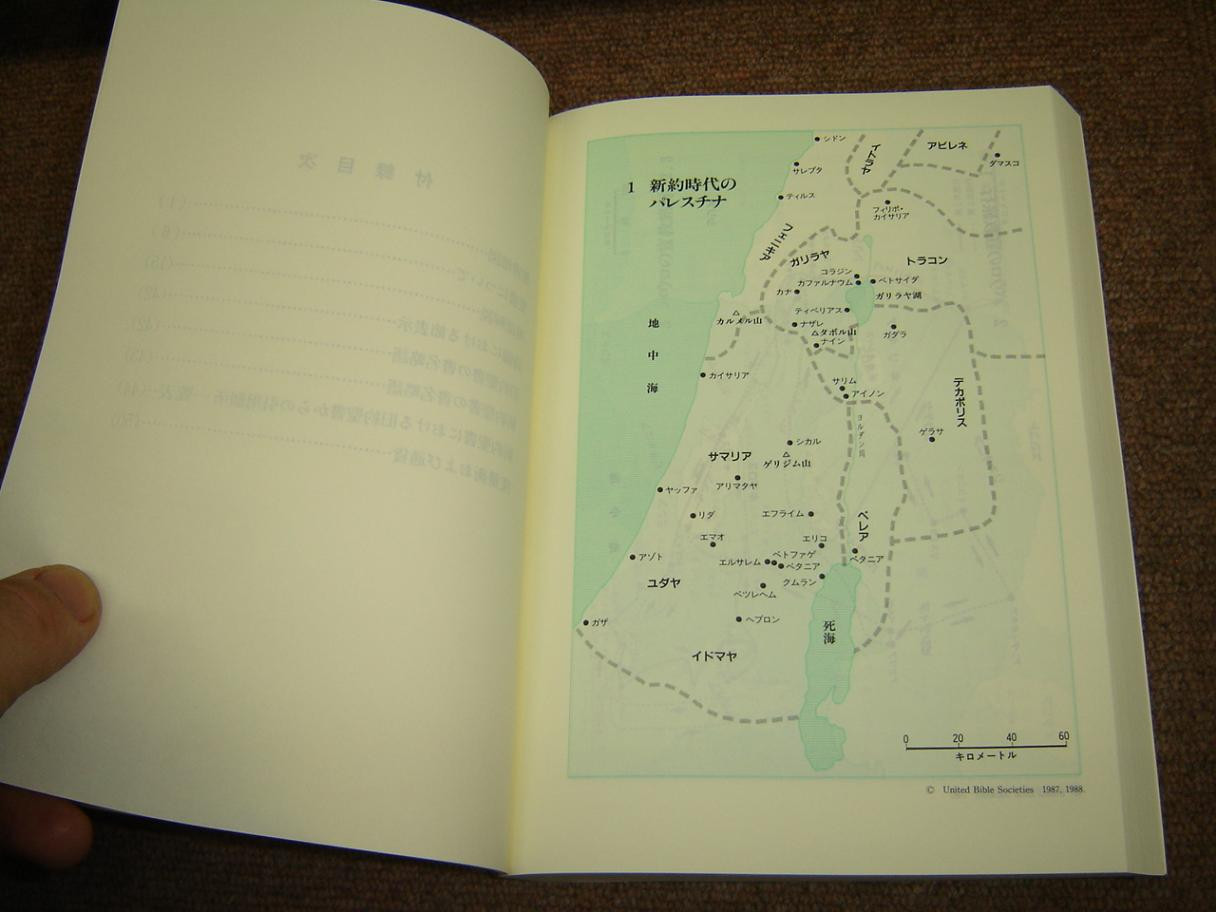 Japanese New Testament with Psalms NI360(R)