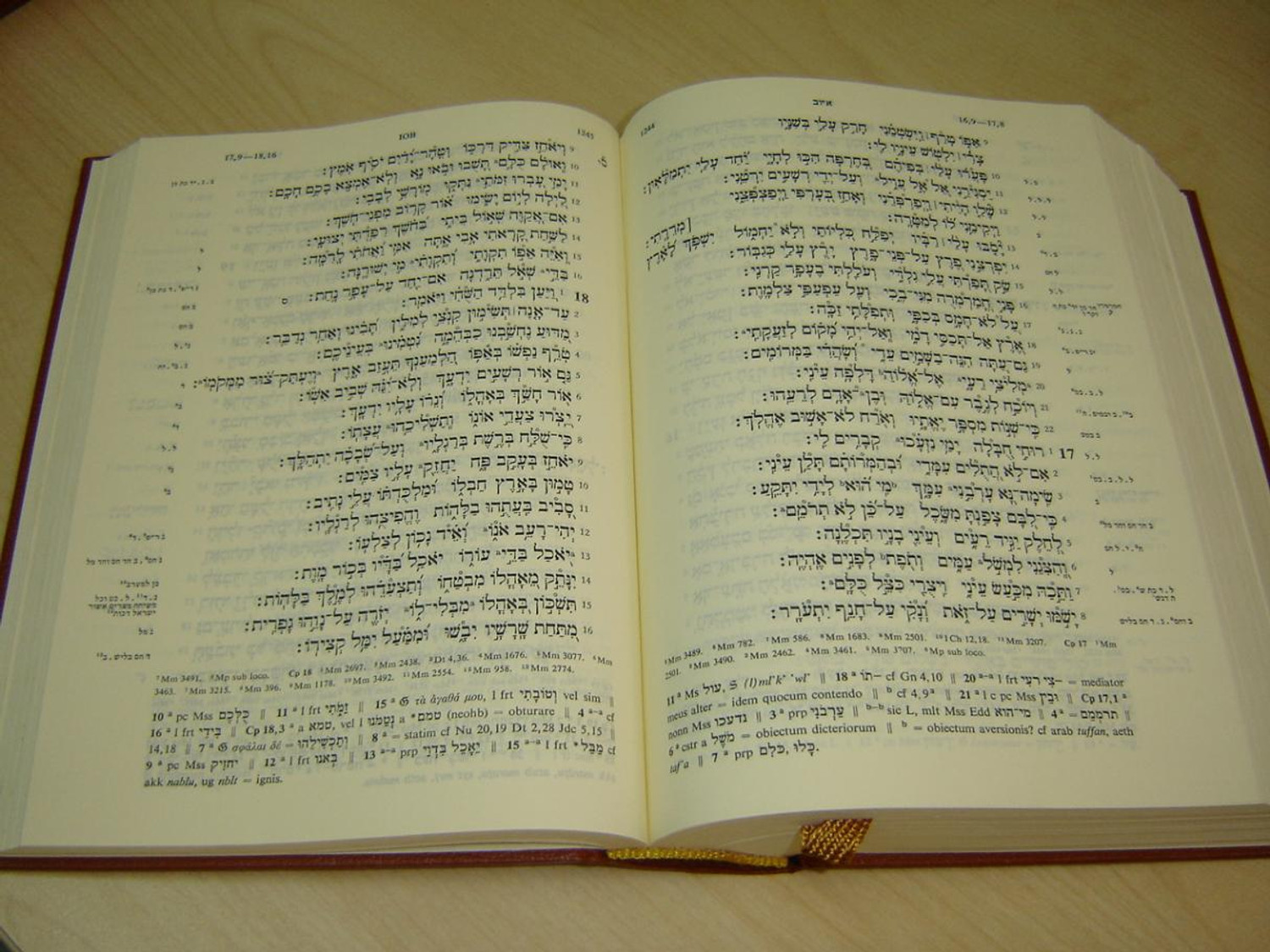 洋書 BIBLIA HEBRAICA STUTTGARTENSIA Amazon.com: Biblia Hebraica Stuttgartensia-FL = Hebrew Bible