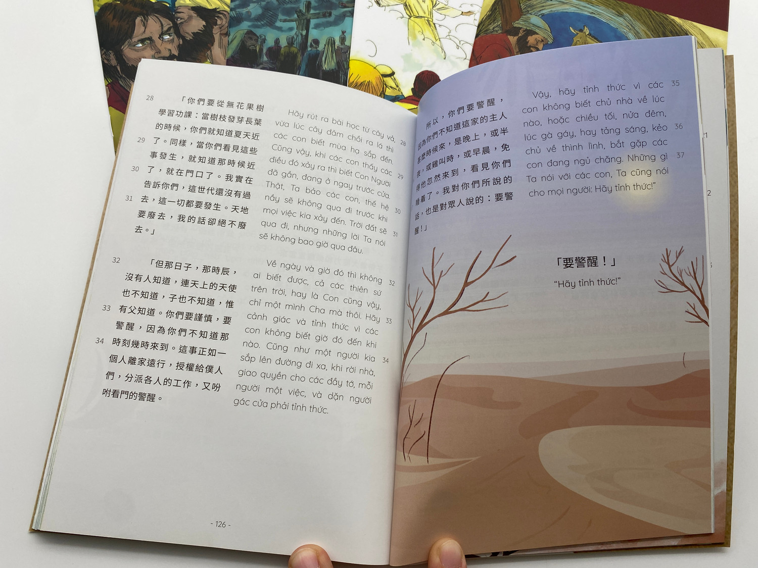Chinese and Vietnamese Christian Books – Bilingual Jesus Teachings