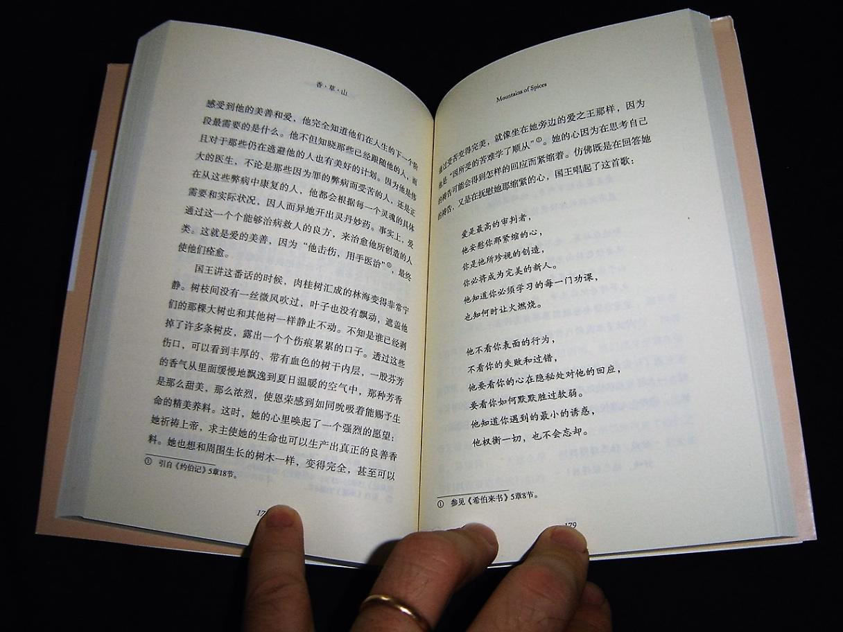 Hannah Hurnard: Mountain of Spices Chinese Edition