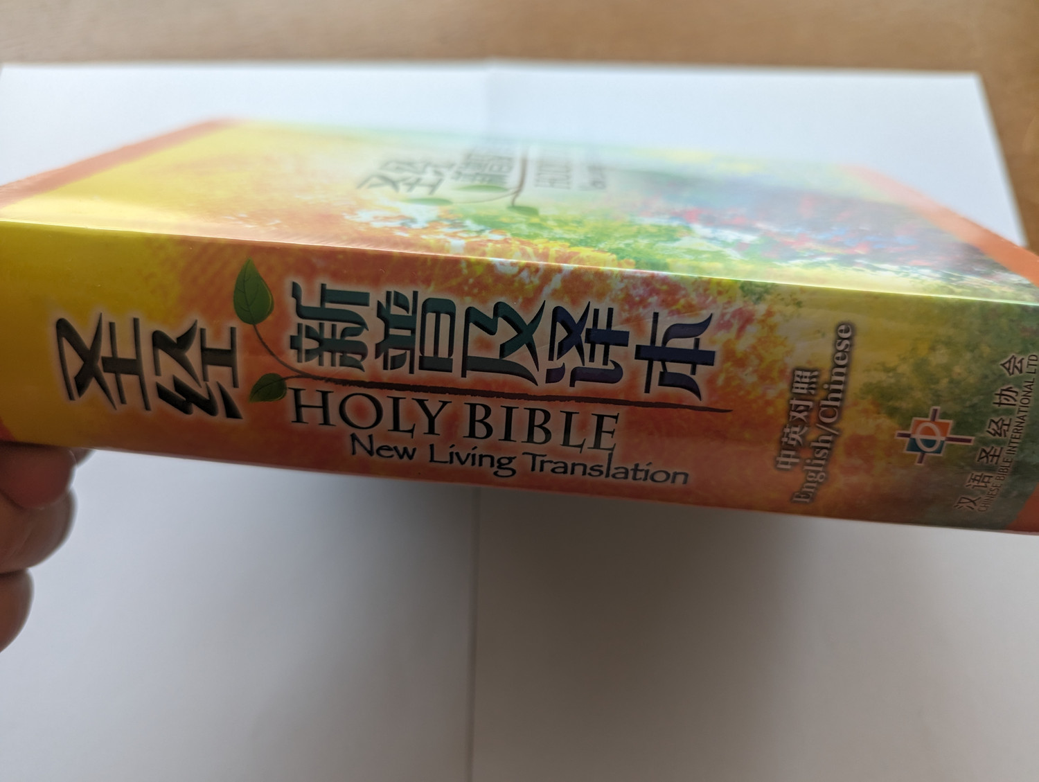 圣经 新普及译本 - HOLY BIBLE (New Living Translation) Bilingual 