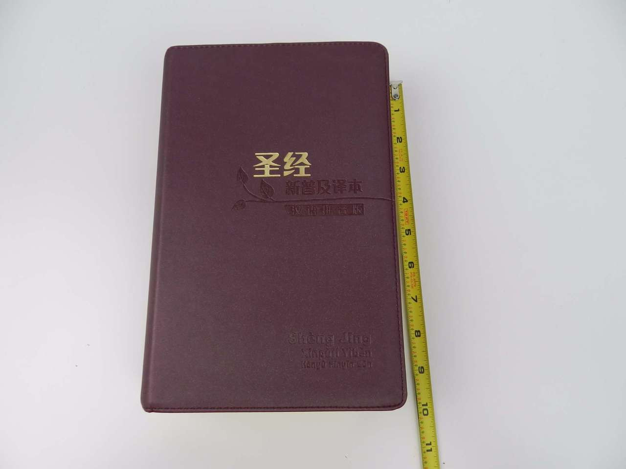 聖經: 新普及譯本 (皮面)/圣经: 新普及译本 (皮面)