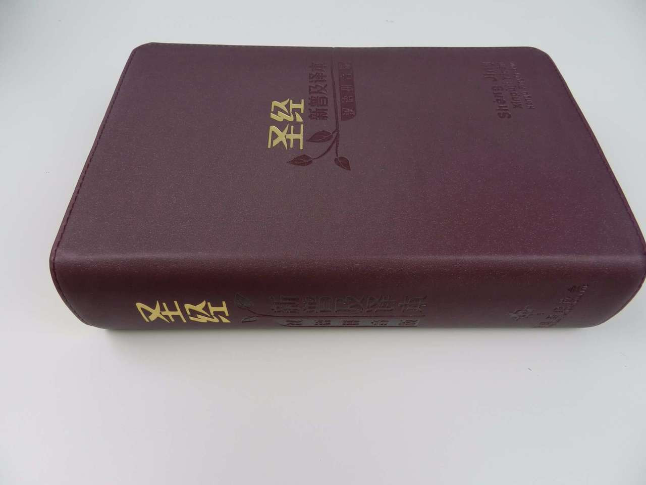 Leather Bound Chinese New Living Translation CNLT Bible with