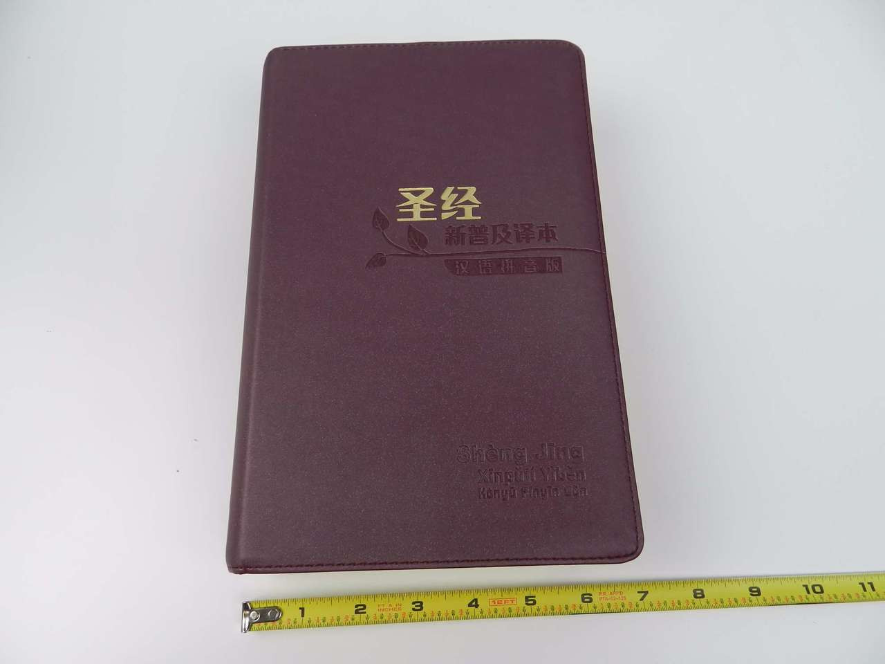 Leather Bound Chinese New Living Translation CNLT Bible with