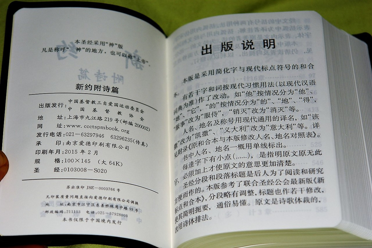 Chinese New Testament and Psalms LARGE PRINT
