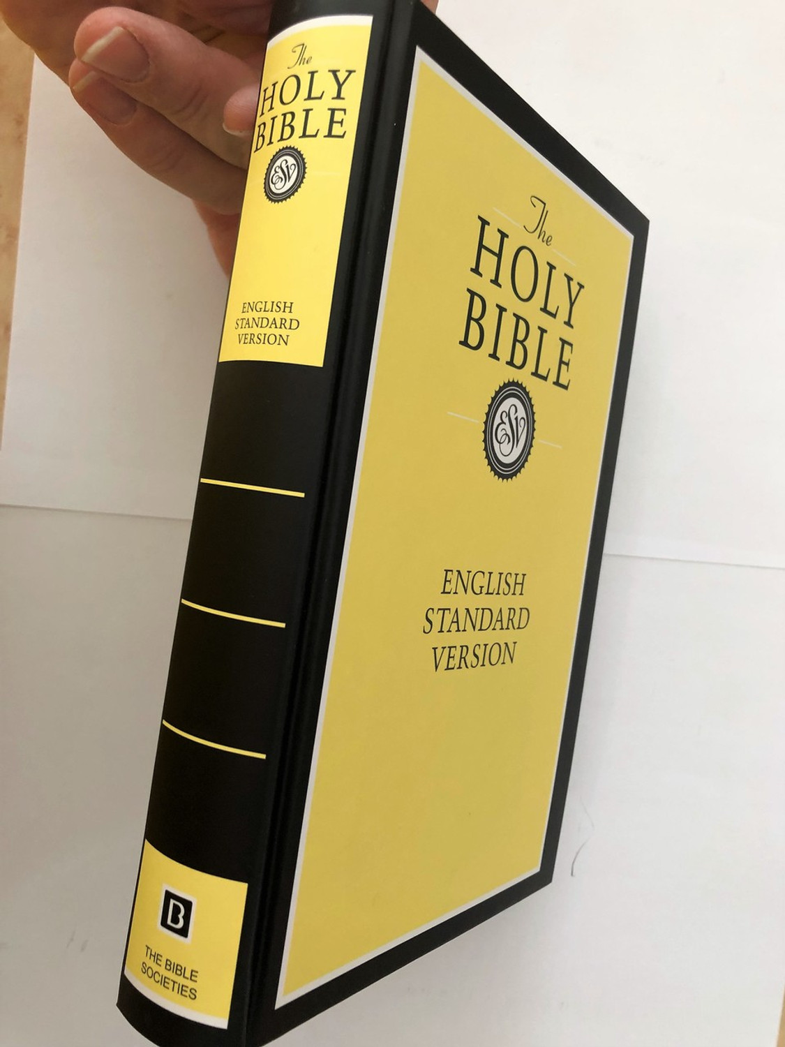 洋書 The HOLY BIBLE English standard version 41FPjjffOHL._UF350,350_QL80_.jpg