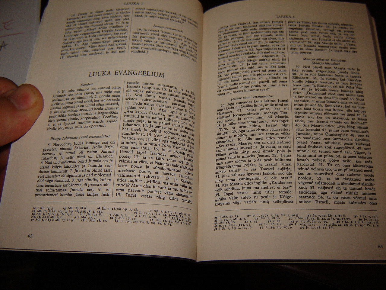 Lai (Hakha) New Testament - Baibal Thiang