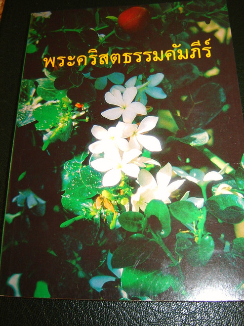 Thai New Testament / Thai NT R273/277 Thailand [Paperback] by Bible Society