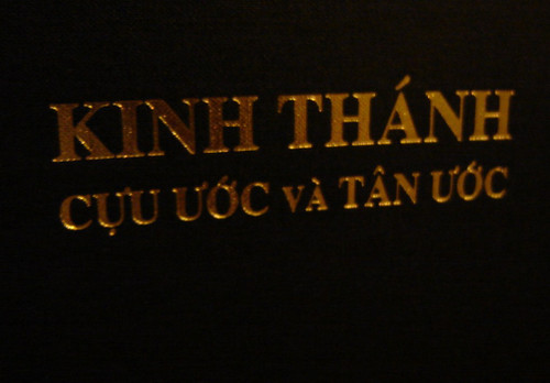 Kinh Thanh Cuu Uoc va Tan Uoc / Vietnamese Bible / Large 53V Formant Re-typeset 1999